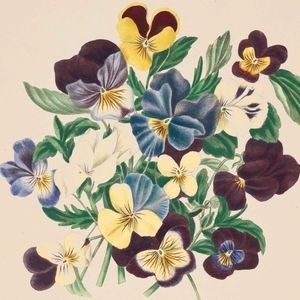 Meet your Posher, Evening